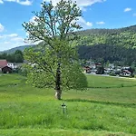 Scandinave Excellente Situation Gerardmer *