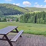 Scandinave Excellente Situation Gerardmer 木屋 *