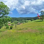 Scandinave Excellente Situation Gerardmer *