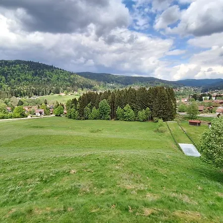 Scandinave Excellente Situation Gerardmer *