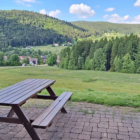Scandinave Excellente Situation Gerardmer Alpesi faház *