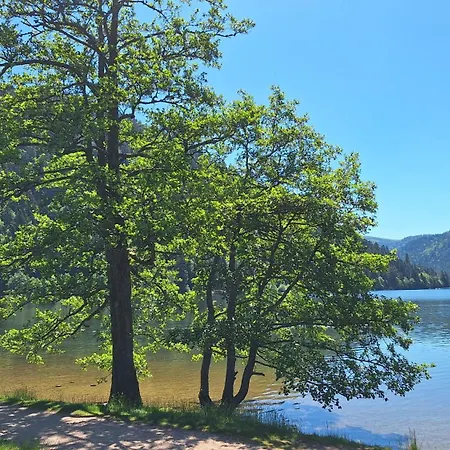 Scandinave Excellente Situation Gerardmer