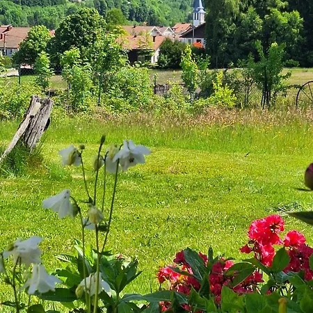 Scandinave Excellente Situation Gerardmer Chalet Xonrupt-Longemer