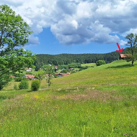 Scandinave Excellente Situation Gerardmer *