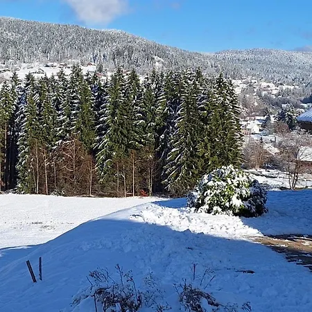 Alpstuga Scandinave Excellente Situation Gerardmer *