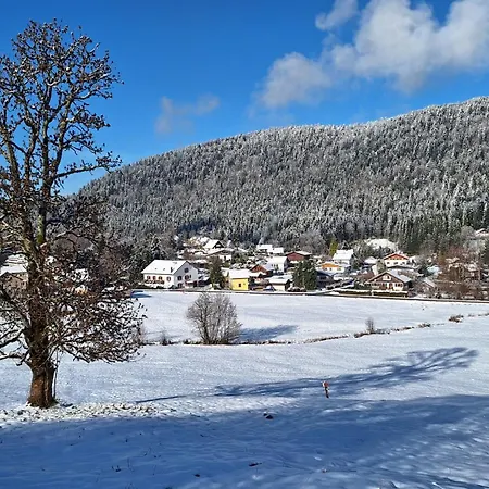 Scandinave Excellente Situation Gerardmer Chalet *