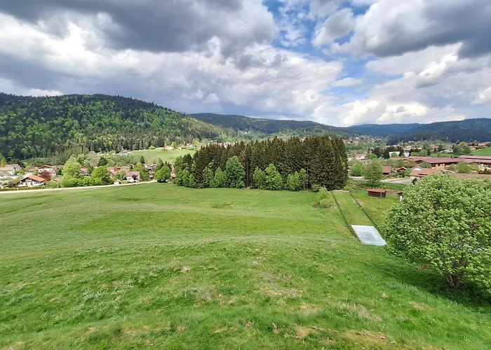 Scandinave Excellente Situation Gerardmer *