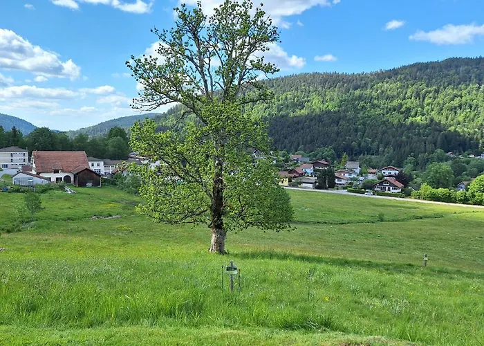 Scandinave Excellente Situation Gerardmer *