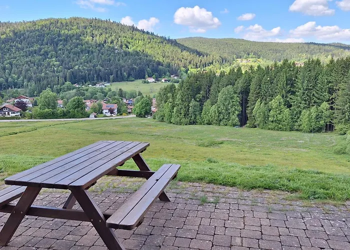 Scandinave Excellente Situation Gerardmer Chalet *