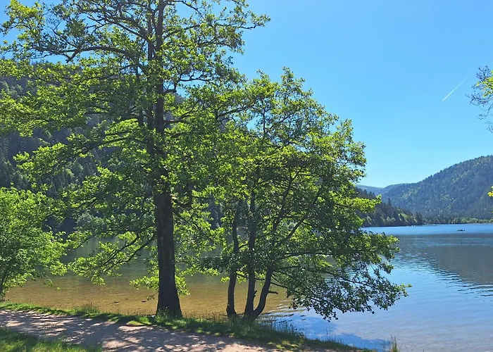 Scandinave Excellente Situation Gerardmer