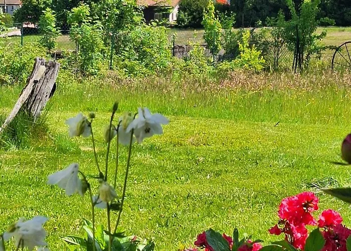 Scandinave Excellente Situation Gerardmer Chalet Xonrupt-Longemer