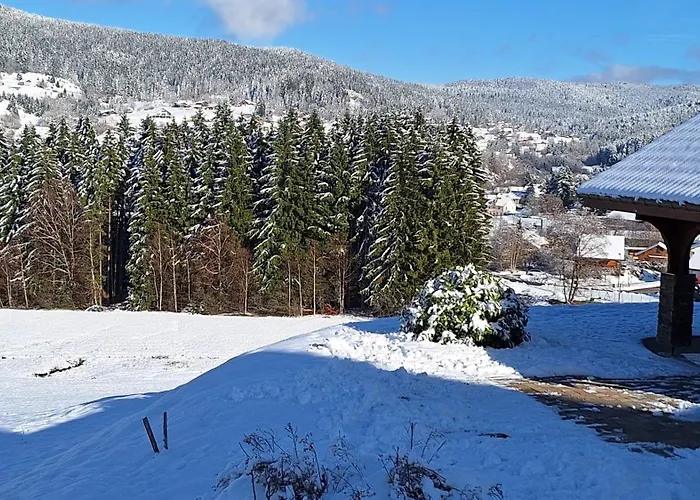 Chalet Scandinave Excellente Situation Gerardmer *